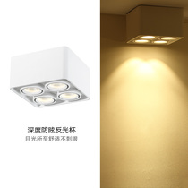 Surface mounted downlight Philips led ceiling type home living room aisle cob four-head bold lamp wall washer lamp without main lamp