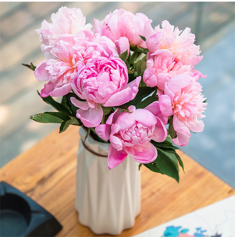 芍药鲜花云南直发昆明斗南花市插花重瓣芍药真花花水养直批家用