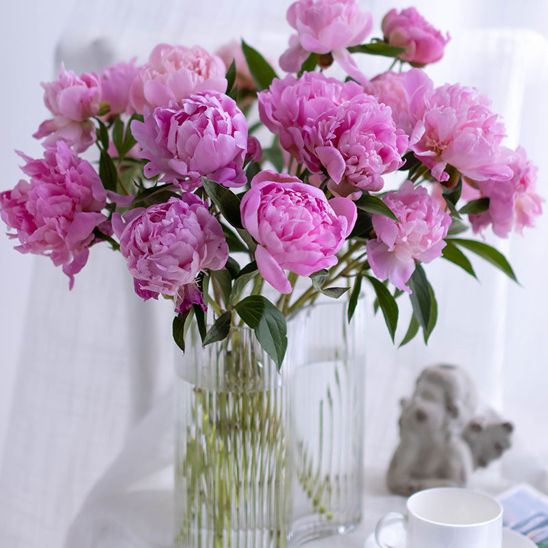 商品描述是否属于礼品否规格不含花瓶是否跨境出口专供货源否颜色