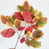 Simulation leaves mango leaves Persimmon cotyledon Green Hills leaves autumn color leaves simulation tree replacement decorative props leaves