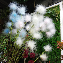 Simulation feather color snow sweet dream decoration simulation flower wedding landscape flower design flower material