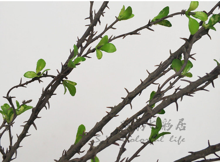 带刺花藤 枯枝 带刺荆棘枝 带刺野山藤 插花配饰花卉带刺原野花藤