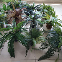 Emulated ferns ferns Fern Grass Persian Grass Small Rows Grass Birds Nest Ferns Flower Arrangements for Landscape Decoration Emulation Fern Green Vegetation