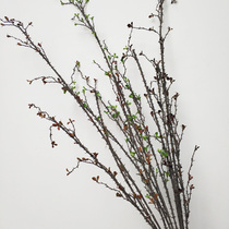 Simulation of branches dead branches simulation of thorns wild mountains vine flower arrangement accessories landscape simulation wilderness branches