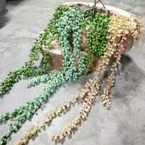 Emulation Lover Tears hanging Orchid Multi-meat Sensation Emulation Buddha Pearl Wall-mounted Flower Basket Vase Decoration Emulation Lover Tears