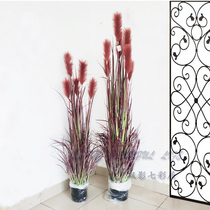 Upscale emulation reed potted reed potted reed bent grass bonsai decorated green with purple red reeds