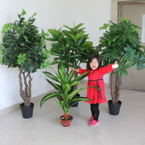 Simulation of wealth tree duck palm wood green plant potted plant simulation tree wood decoration green plant environment landscape storefront decoration
