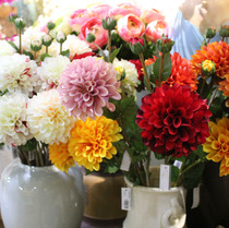 Simulation Dahlia Ping Pong Chrysanthemum Vase Decoration Atmosphere Beautiful Chrysanthemum Scene Photography Props