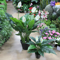 Smooth simulation green plant simulation flowers and plants store accessories display props living room decoration fake plants