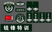 Instructor 19-arm Zhangzhang Chest Chapter kit Dingding to School Students Outdoor Training Mission Construction Expansion Training Customized