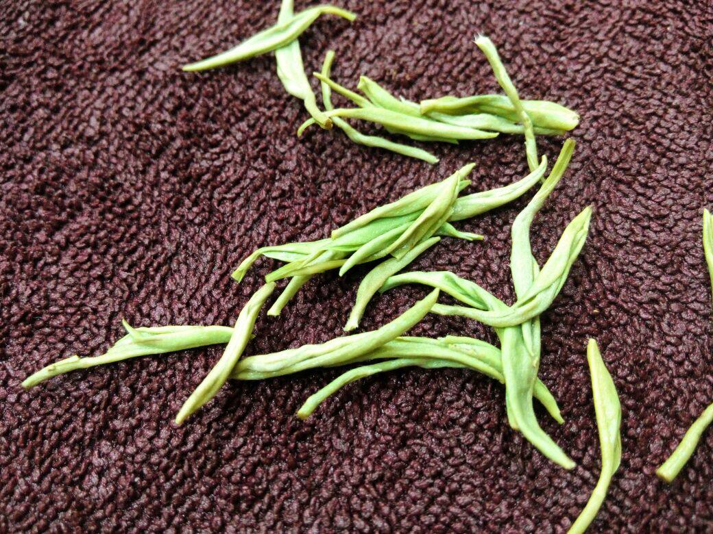 2017新茶永川秀芽250克包邮 绿茶不好喝七天包退 毛尖 毛峰