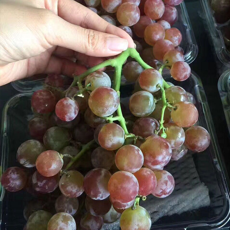 供应 智利进口玫瑰香红提黑加仑提子葡萄新鲜孕妇水果三斤装包.