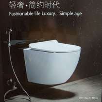 Domestic toilet --- a first-line brand bathroom installation