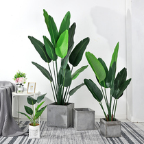 Nordic Net red simulation travel banana plant bonsai potted living room indoor shop large green tree ornaments