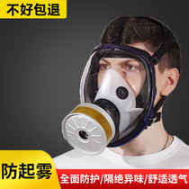 Gas mask full face mask spray paint fire poison oxygen pesticide decoration full face protective cover face mask breathing mask
