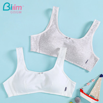Bai Ling Bai Li girl underwear Female rimless thin section Hair development small chest gathered high school students chest bra thin