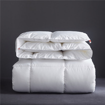 Quilt quilt core winter quilt spring and autumn quilt thickened warm feather silk quilt four seasons universal quilt dormitory student bed quilt