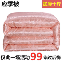 Winter silk quilt 100 spring and Autumn quilt mulberry silk quilt cotton satin quilt core thickened winter quilt Summer cool quilt