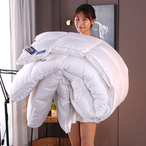 Five-star hotel white goose down goose feather quilt white padded down quilt spring and autumn quilt winter quilt single and double warm quilt core