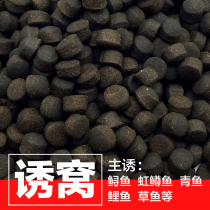 Sturgeon Herring carp grass carp grass carp nesting bait particles fast sinking fast gathering fish super strong fishy smell