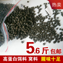 Thick Sturgeon carp rainbow trout grass carp fishing nest bait particles fast lure fish slow sinking fast