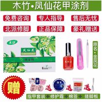 Northern style pedicure wood bamboo Impatiens flower armor coating Golden Phoenix Flower now impatiens changed gray yellow finger toe bright armor counter