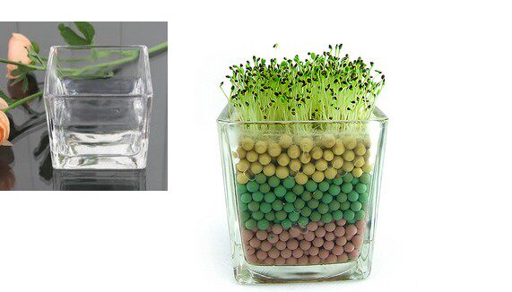 特价 陶碳球负离子植栽2代心形草种子创意办公室迷你植物小盆栽