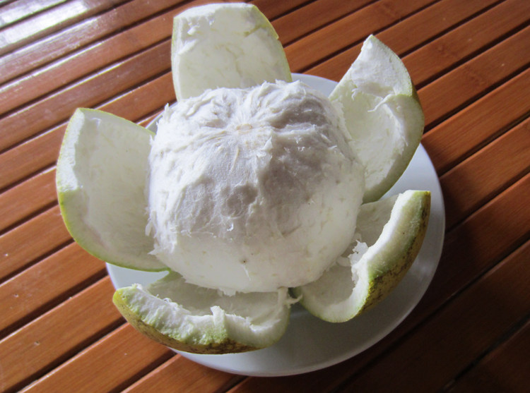 湖南怀化安江雪峰山冰糖柚子高山小苦柚蜜柚新鲜香柚药柚20斤包邮