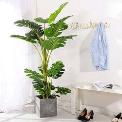 Recommended Artificial Plants Monstera Banana Green Plant Indoor Sky