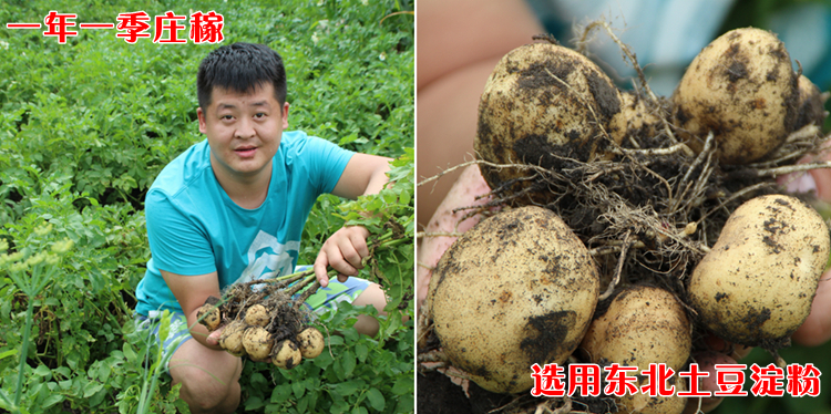 正宗东北大拉皮500g纯土豆粉凉皮干货凉