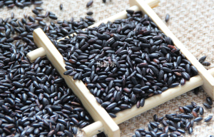 500g装 新米东北五常自家有机黑米农家黑大米香米养生杂粮黑糯米