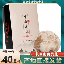 Changbai Mountain Wild White Ganoderma Lucidum Wild Yuzhi Ganoderma Lucidum Nyingchi 2 pieces