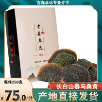 Changbai Mountain Wild Tyrant Incense Tree Mulberry Yellow Natural Nyingchi 2 pieces