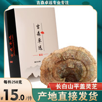 Changbai Mountain wild flat cover Ganoderma Lucidum Pruning tree tongue Ganoderma Lucidum Nyingchi 2 pieces