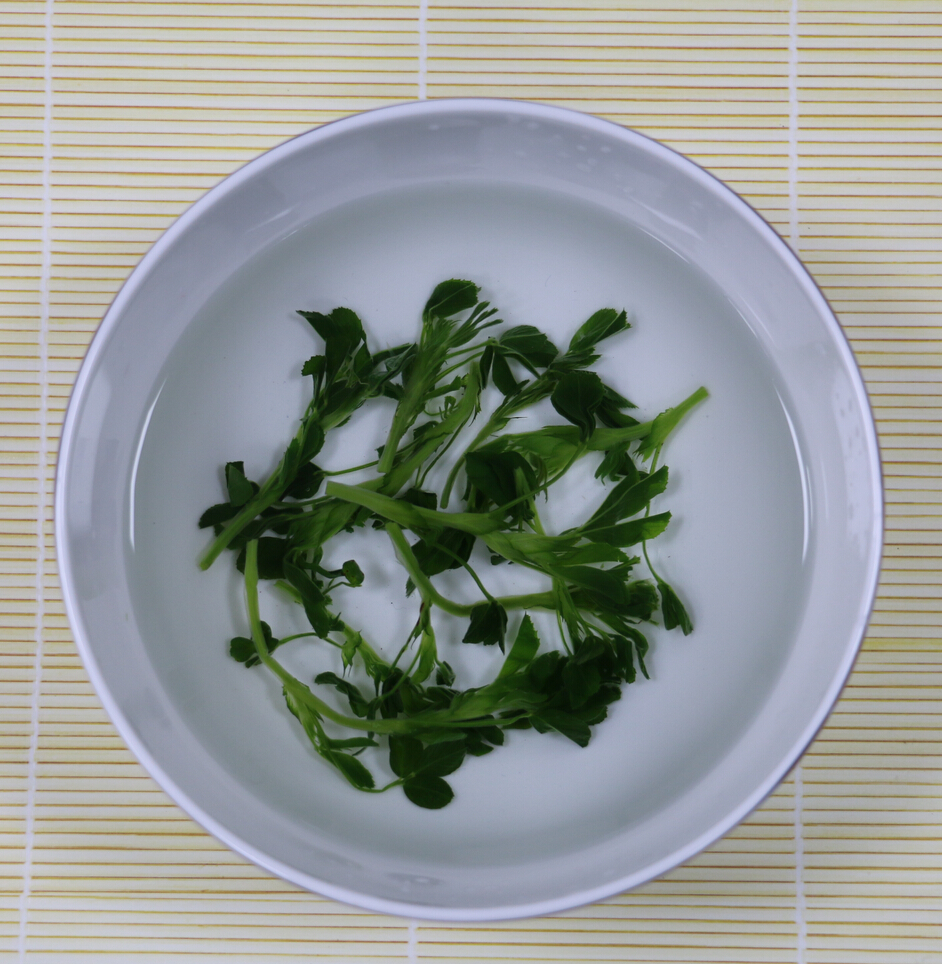 食用苜蓿菜新鲜蔬菜野生野菜荠菜脱水冷冻苜蓿嫩芽冰鲜3份装包邮
