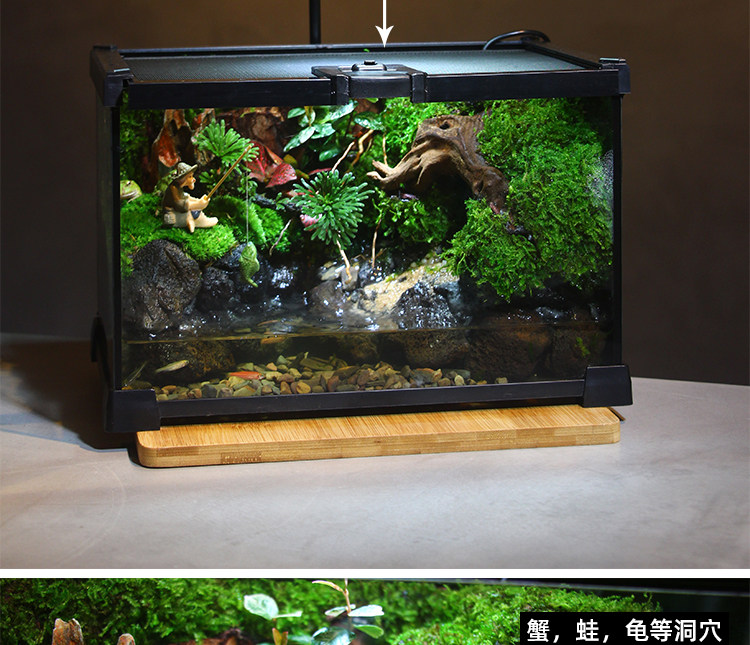 Декоративное мини-растение 微花房苔藓微景观耐养 Micro/greenhouse