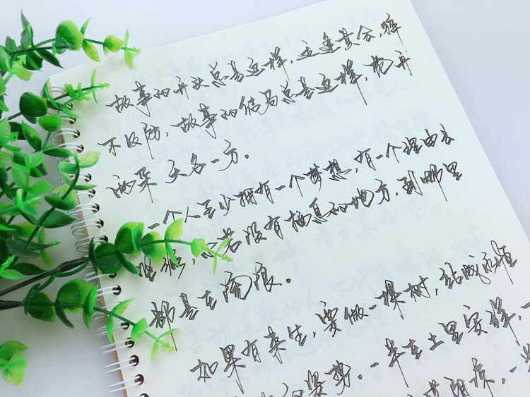 成王败寇经典语录 手写体 钢笔练字帖连笔字硬笔行书临摹字帖成人