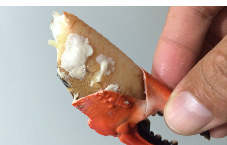 大连市庄河赤甲红鲜活螃蟹 海蟹 石甲红 青蟹 梭子蟹两斤顺丰包邮