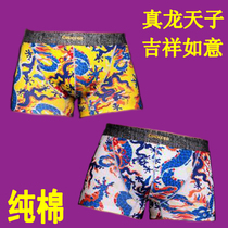 Dragons Descendants Mens Underwear One Piece Cotton Boxers Seamless Printing Lightweight Breathable Low Waist Boxers