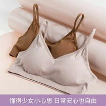 Pure cotton underwear Female student beauty vest small bra gathered sports no buckle anti-sagging shockproof with chest pad no rim