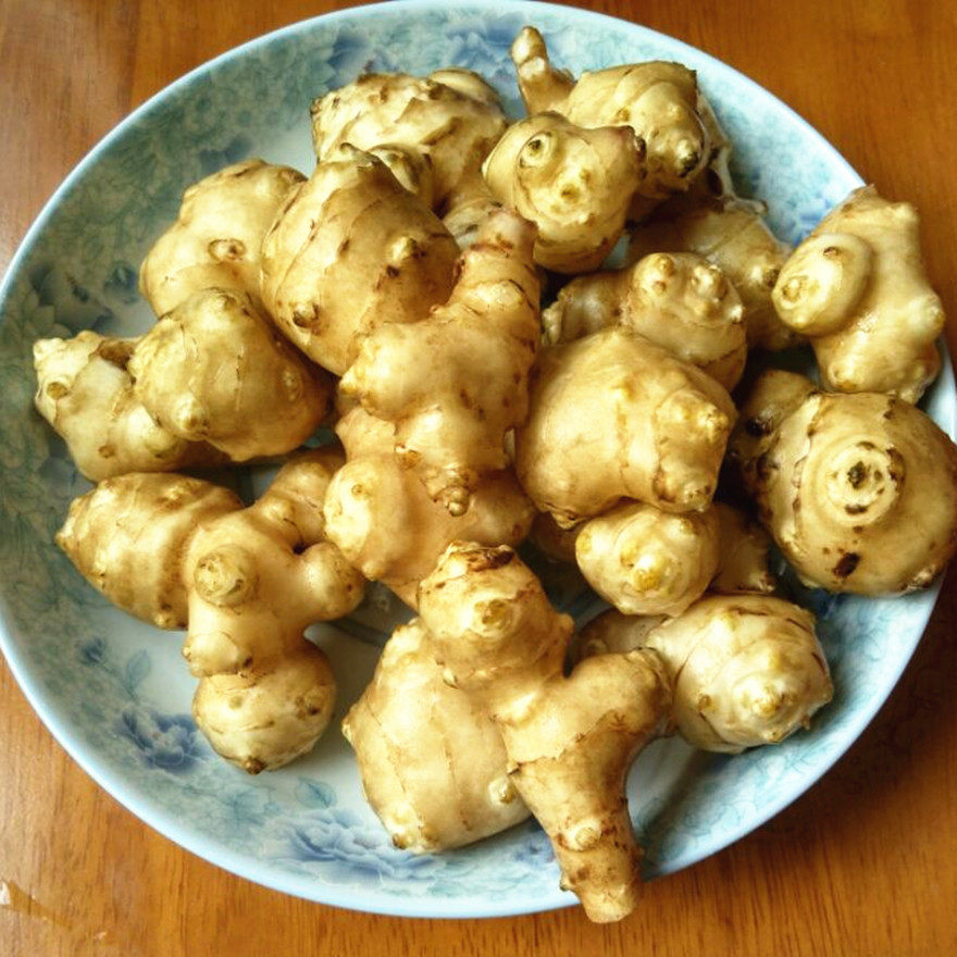 徐州益顺康新鲜洋姜5斤菊芋鬼子洋姜蔬菜酱菜腌菜咸农产品