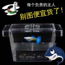 Fry double-layer fish tank breeding box Guppy hatching box Bucket small fish young fish fry aquarium isolation box small
