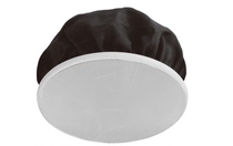 Original Japanese TOA F-2352SC 6W two-point bandwidth range Zenith speaker