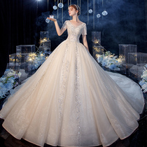 V-collar wedding dress 2021 New temperament long tailing French bride pregnant women go out yarn simple cover thick arm