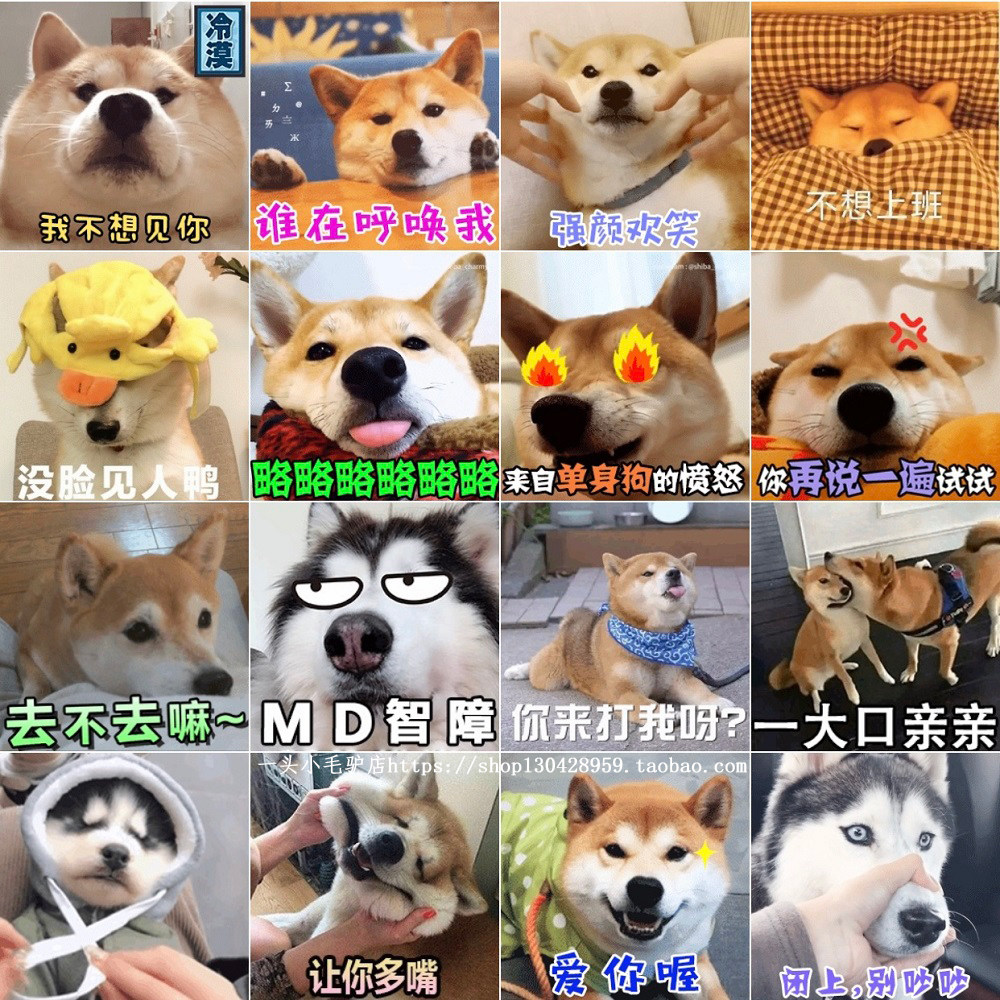 哈士奇狗狗表情包沙雕搞笑200至400张聊天用狗狗表情