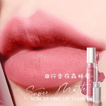 2022 new products ~ Taiwan purchasing mkup beauty curry without textured soft mist lip glazed with high moisturizing zero lip tattoos
