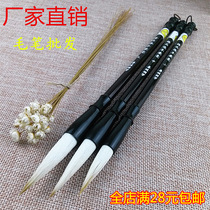 Jin brush beginner brush Wuhu pen calligraphy training class and small and medium-sized pen Chinese painting