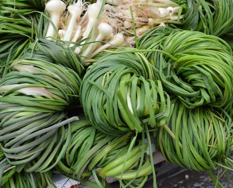 湖南湘西沅陵土特产 农家自制胡葱酸野葱酸下饭菜 开胃菜解酒菜