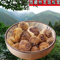 Wild hime-matsutake Tibetan specialty hime-matsutake hime-matsutake mushroom has excellent taste and pure fresh and fragrant dry goods half a kilogram