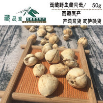 Tibetan specialty wild Tibetan fritillary production is very small super wild Tibetan fritillary garlic fritillary sharp shellfish new this year